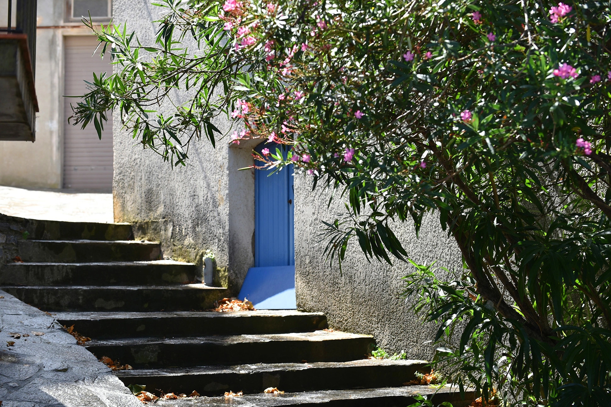 Alt à définir